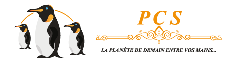 Logo de PCS Energie